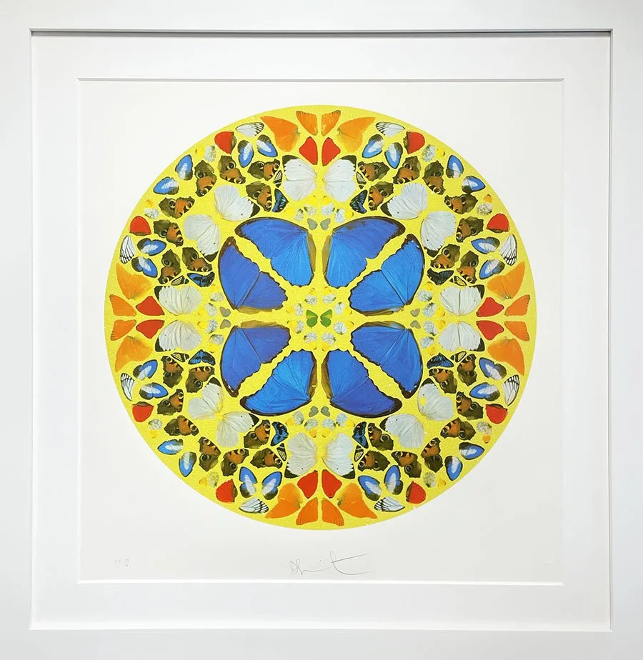 Damien Hirst | Contemporary Art Provocateur — DTR Modern